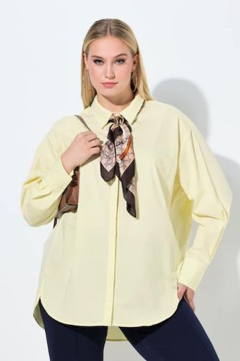Plus size veliki brojevi Košulja dugih rukava skrivenog kopčanja za punije